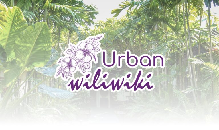Image de couverture du projet Urban Wikwiki
